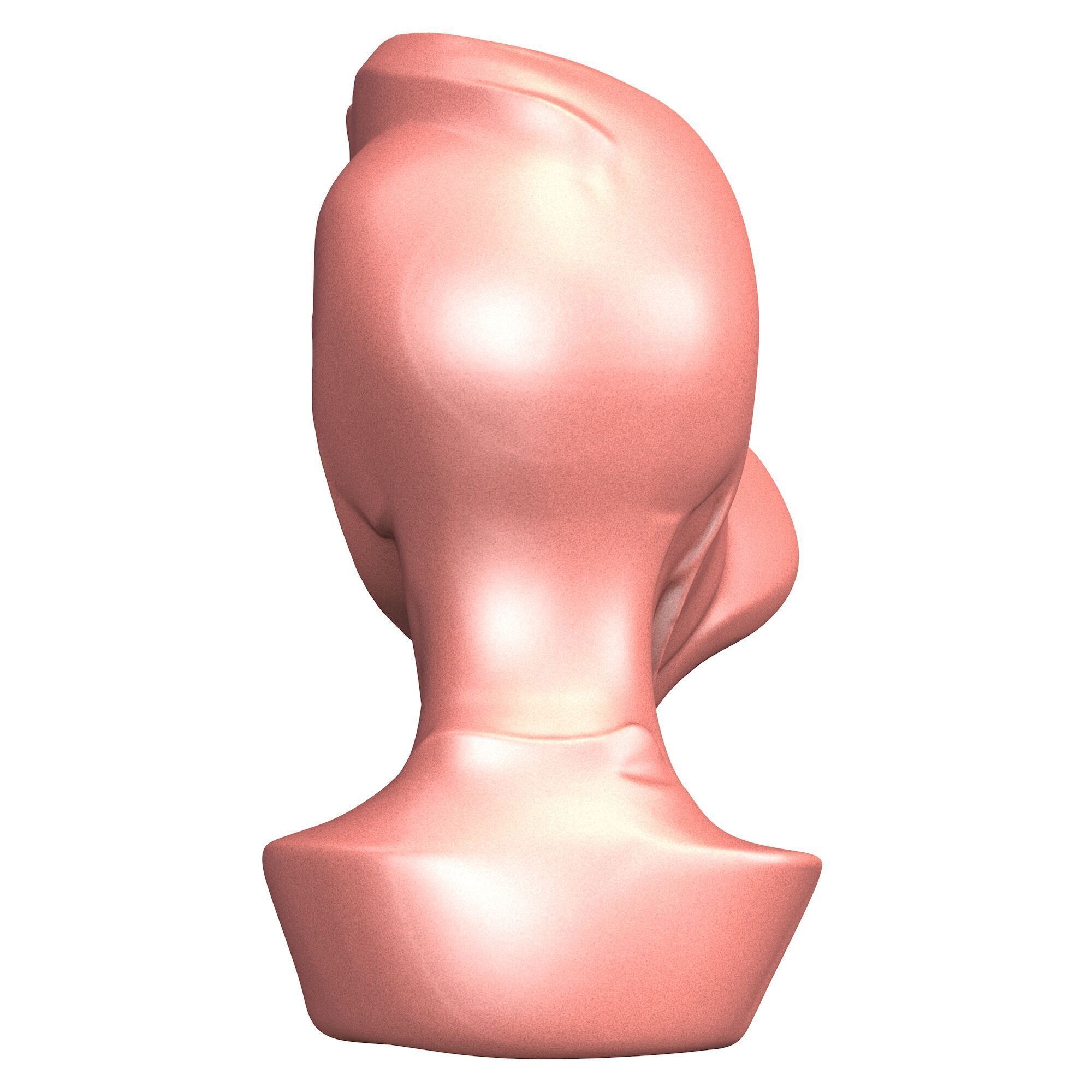 Abstract Woman Portrait Sculpture 3D print model_3