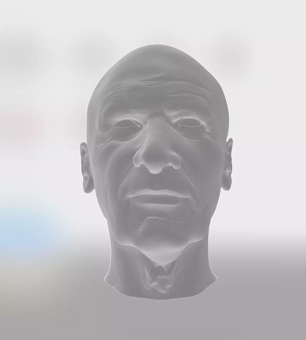 Indiana Jones Dial of Destiny older Han Solo Hat Bust 3D print model_0