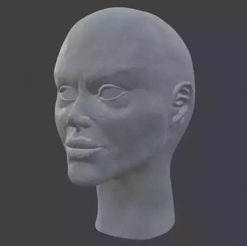Low Poly Head Model with Normal Map No Color  Only Normal Map