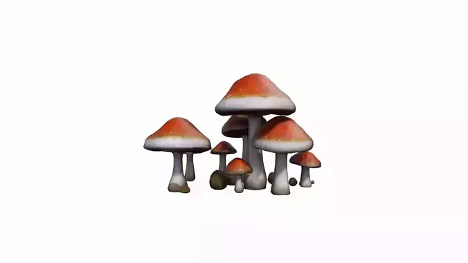 3d Render Edible Mushrooms In A Forest  3D model