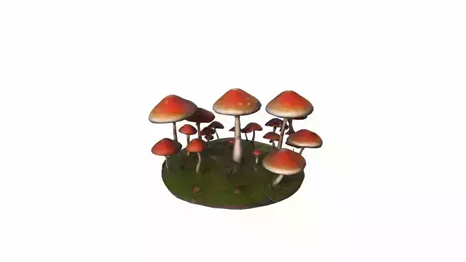 3d Render Edible Mushrooms In A Forest  3D model