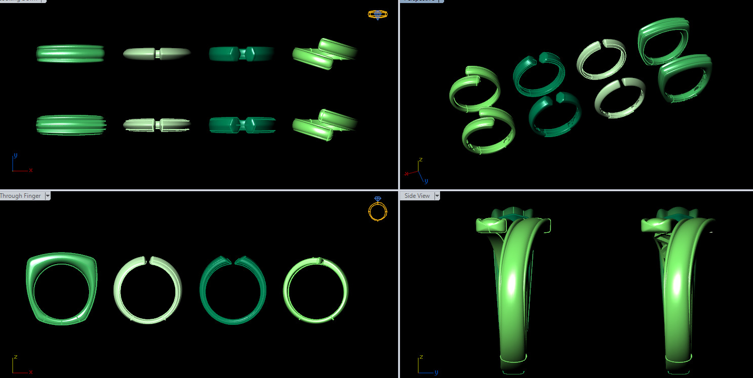 a100-125- rings 3D print model_12