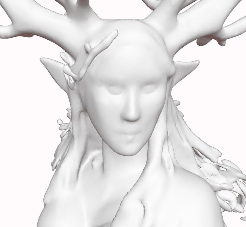 Liriath the Seedwhisper Verdant Pact Archdruid 3D print model_16