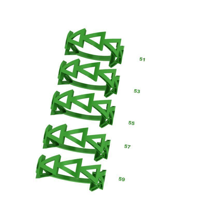 Gold Ring Jewelry  Ring stl 3dm 3dprintmodel 3D print model_8