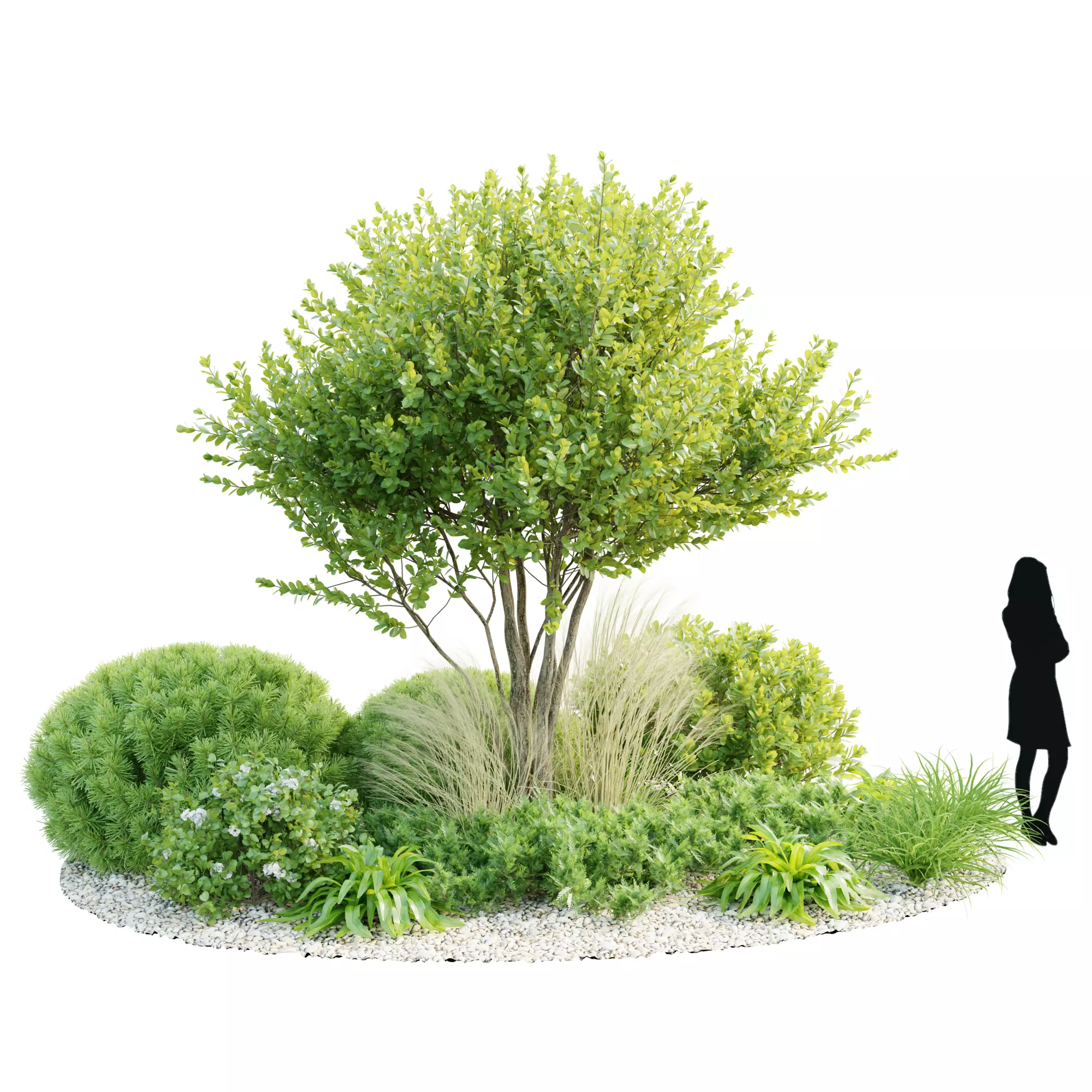 Landscape - Garden Assets Vol 3D model_11