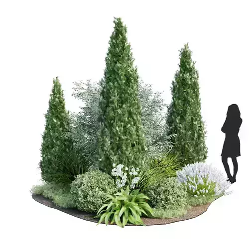 Plant - Tree - Landscape - Garden Assets Vol Low-poly 3D model 5
