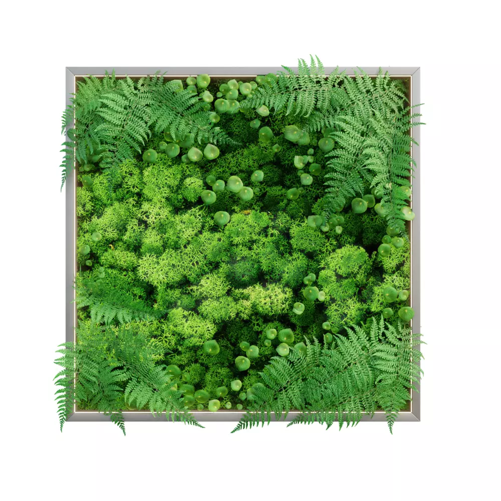 Landscape - Garden Assets Vol 3D model_5