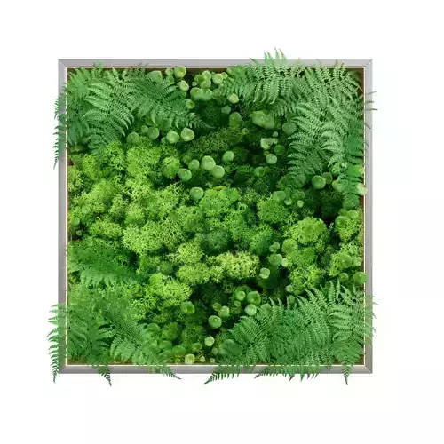 Plant - Tree - Landscape - Garden Assets Vol Low-poly 3D model 6