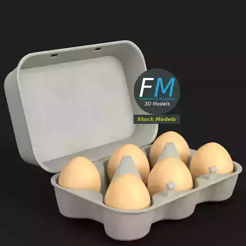 Cardboard package for 6 eggs