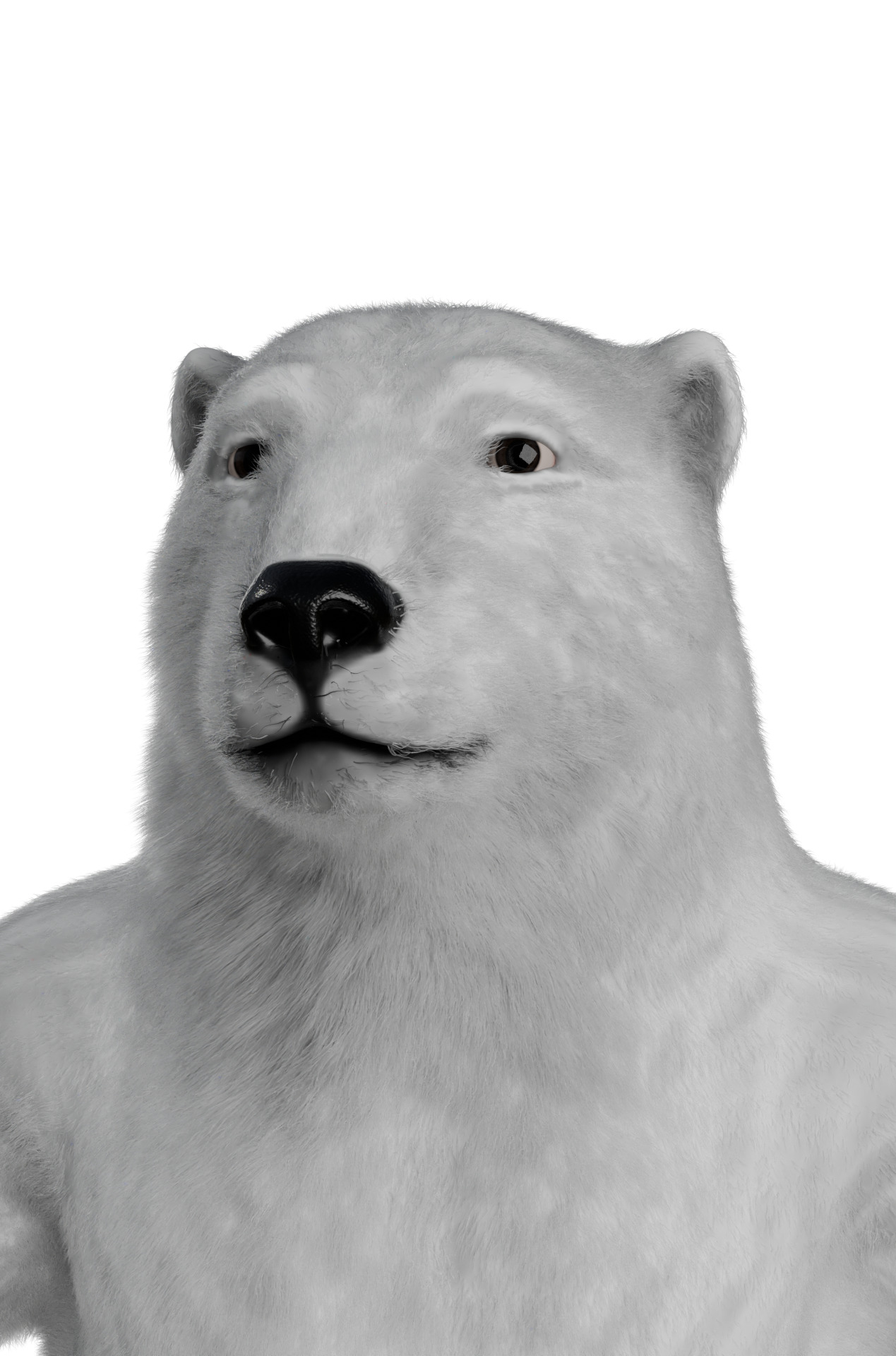 White polar Bear - 3D character 3D model_3