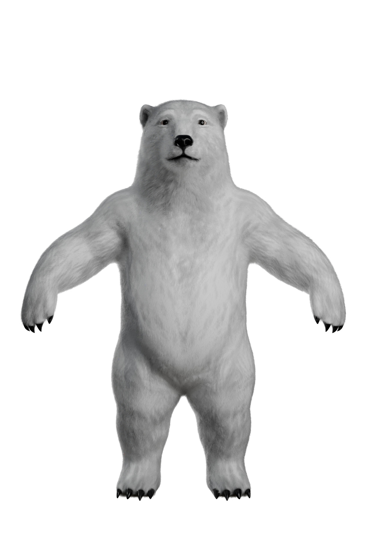 White polar Bear - 3D character 3D model_1