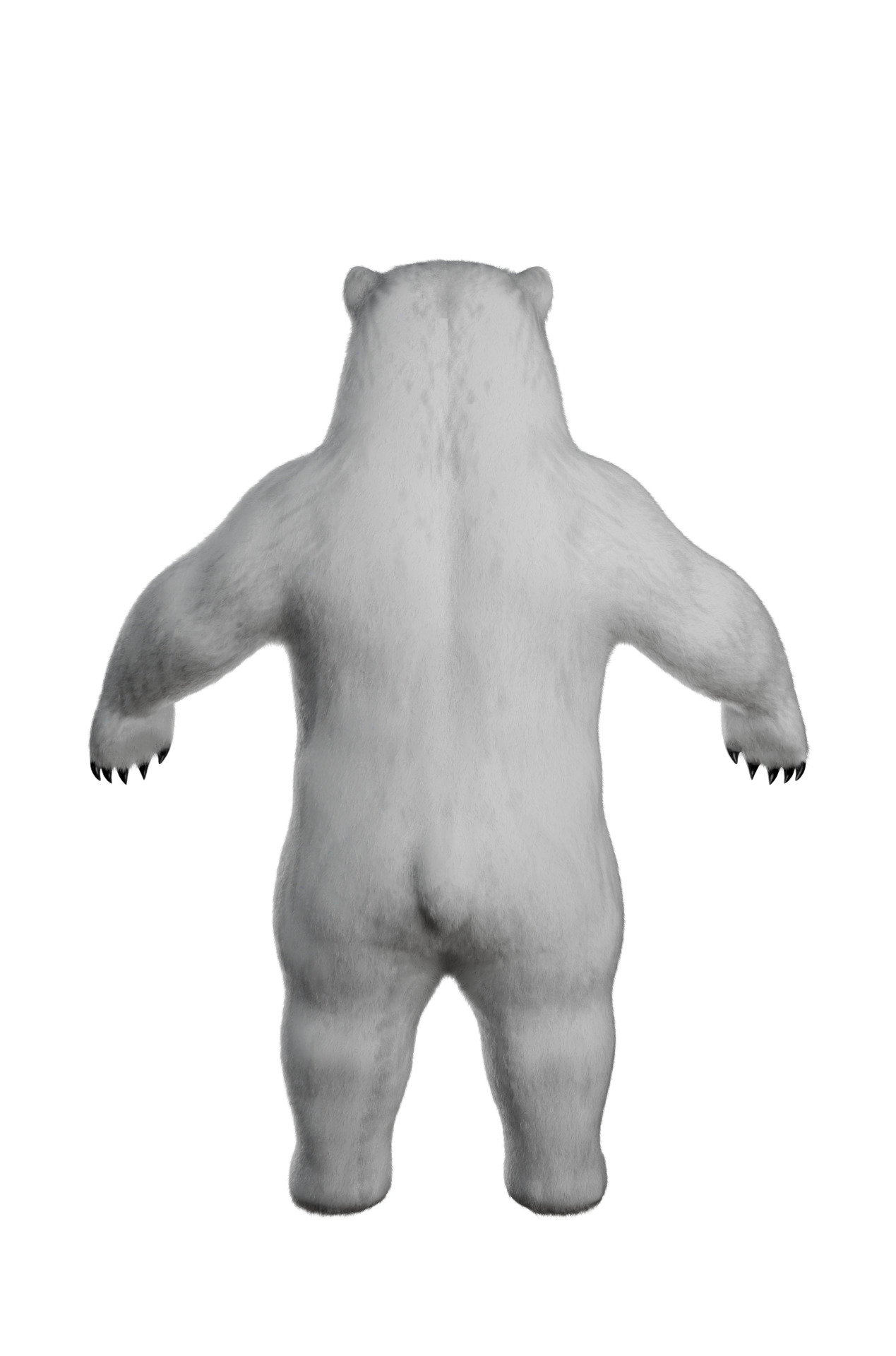White polar Bear - 3D character 3D model_2