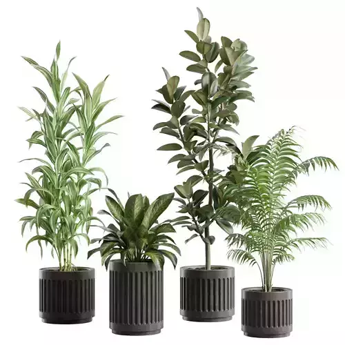 Indoor Plants Pack 89