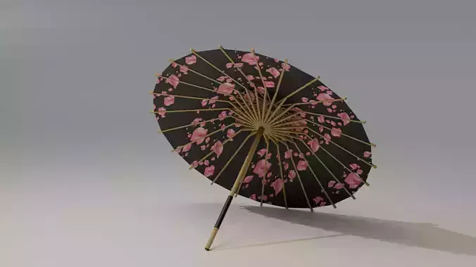 Japanese Wagasa Umbrella Sakura Pattern