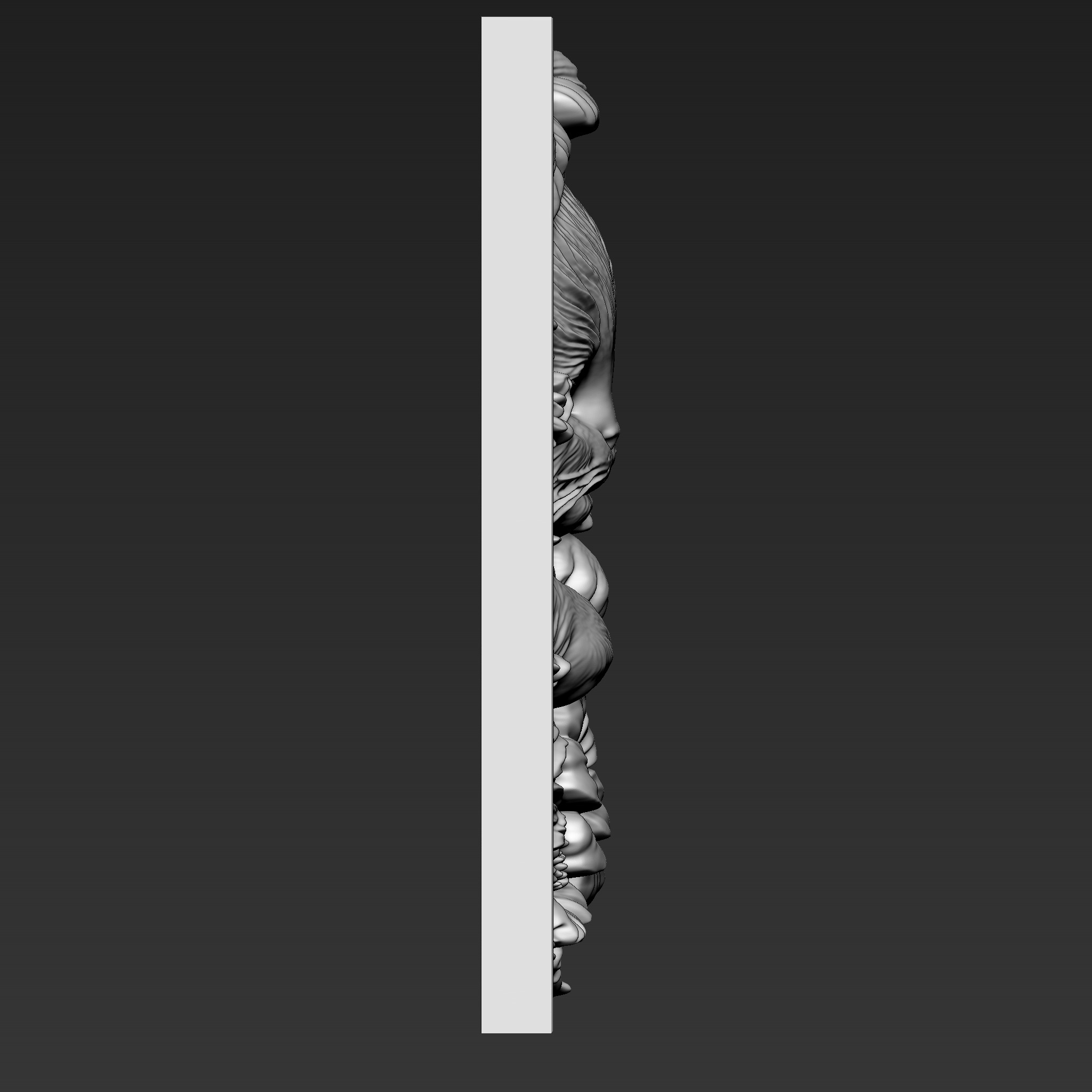 Cat A20 3D print model_4