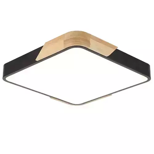 ceiling light 005
