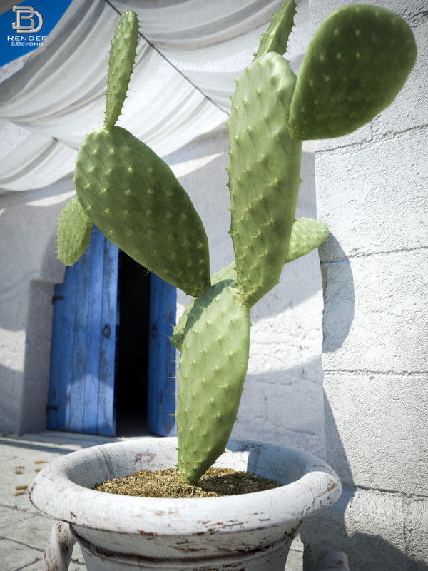 Mediterranean Courtyard 3D model_3