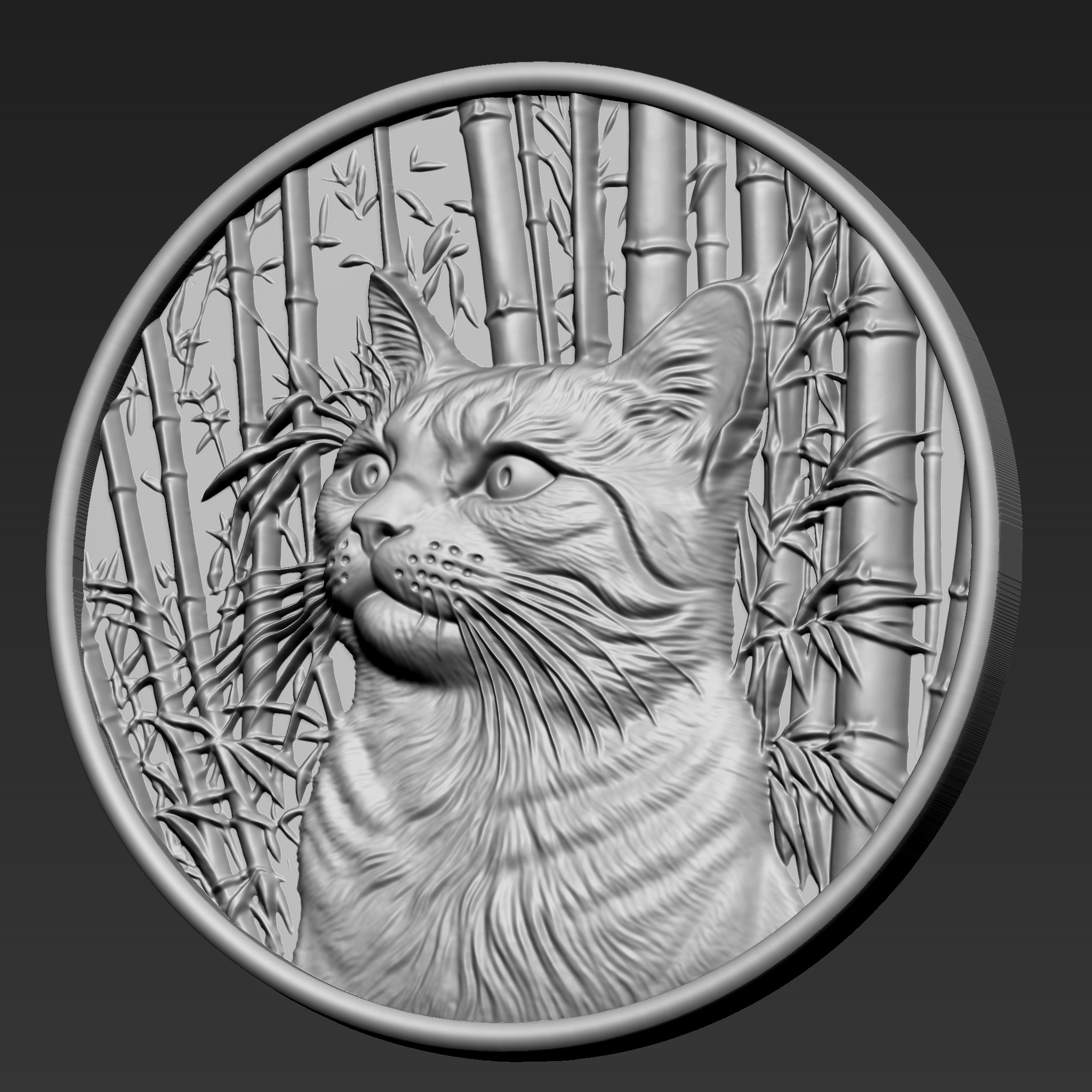 Cat A30 3D print model_2