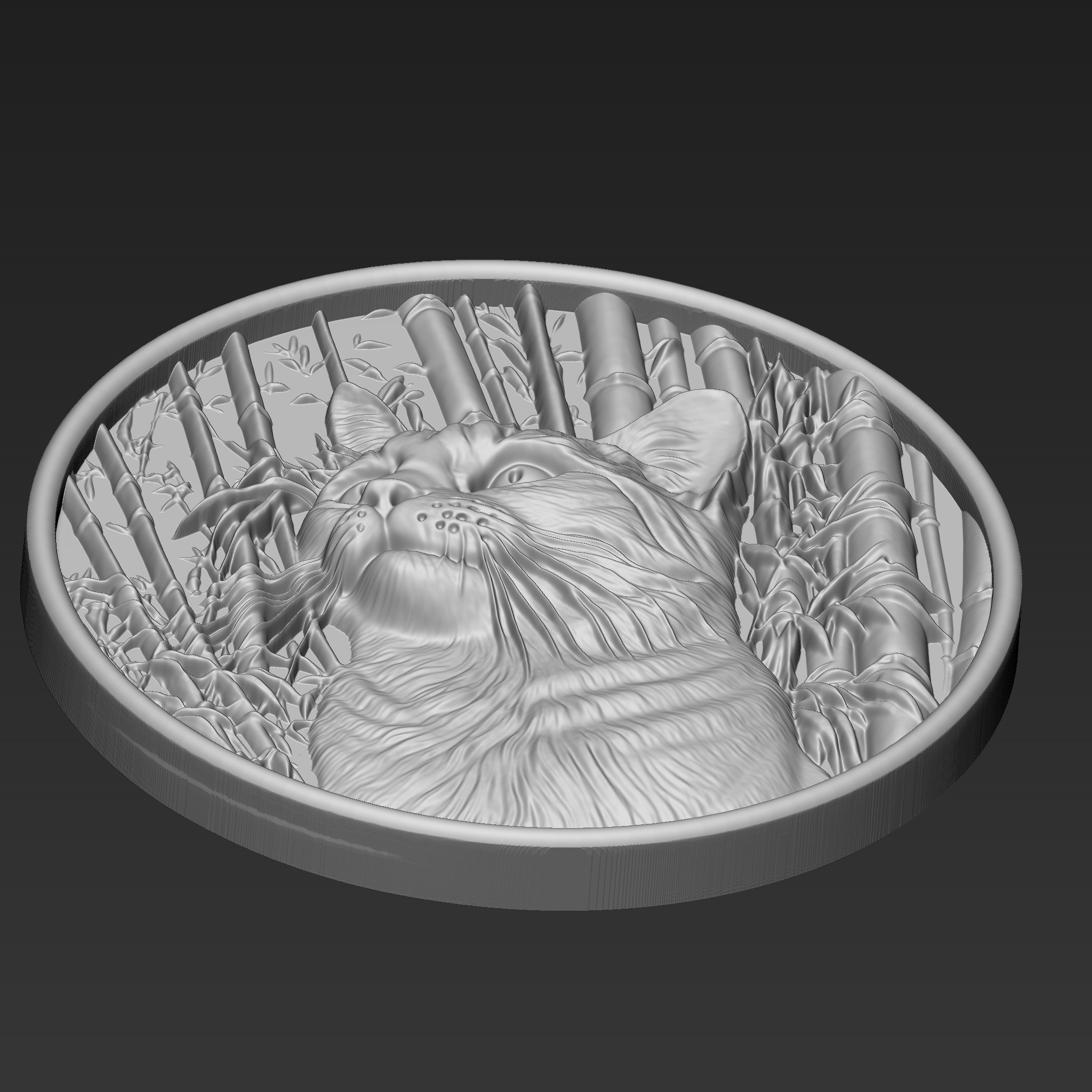 Cat A30 3D print model_3