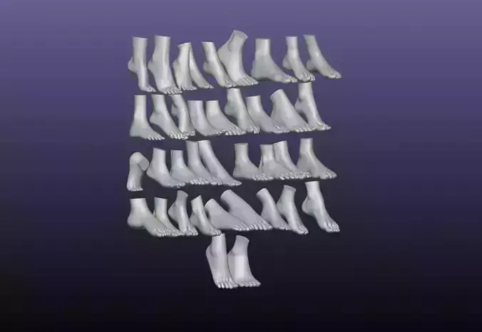 38 Female foot poses 3D model