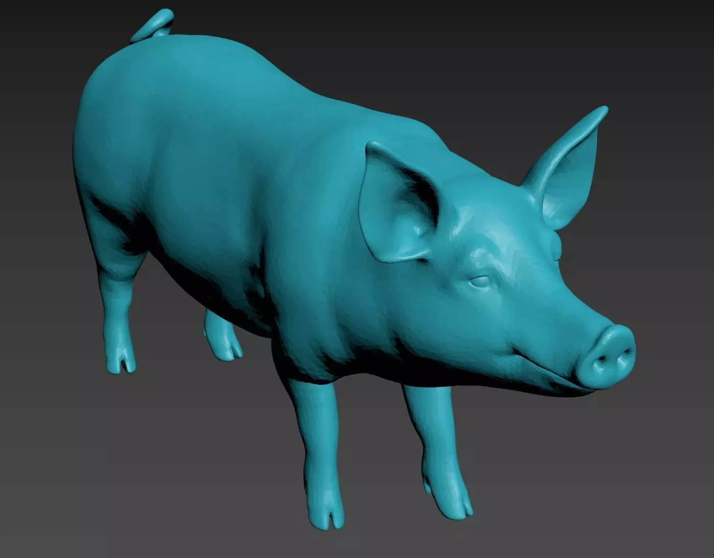 Piggy Free 3D model
