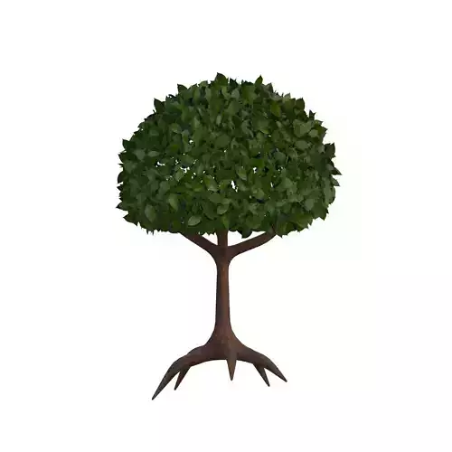 Broadleaf Tree Series One 3D model