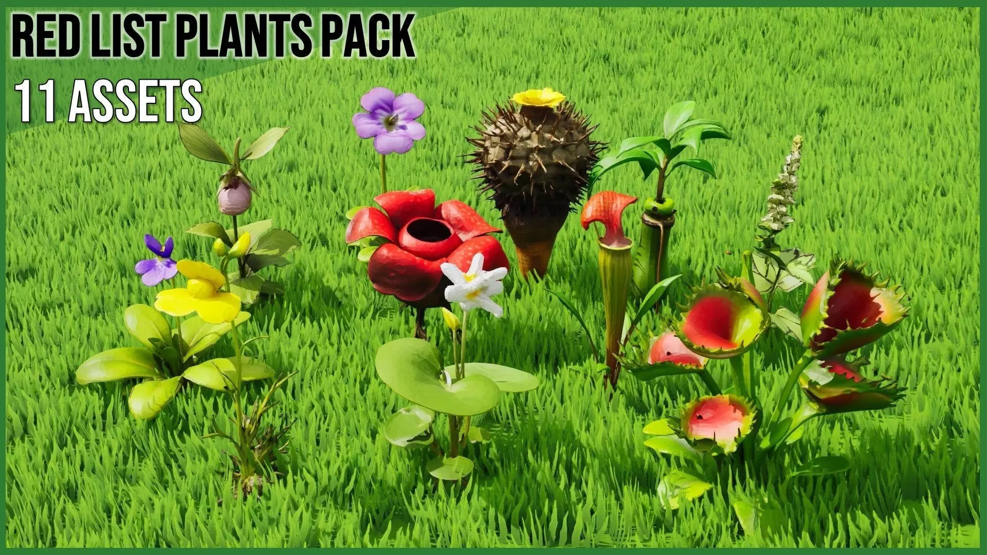 Red List Plants Low-poly 3D model