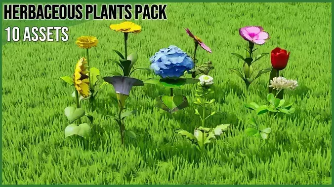 Herbaceous Plants 
