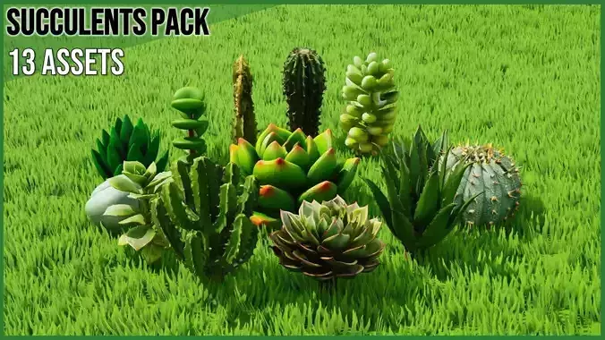 Succulent Pack