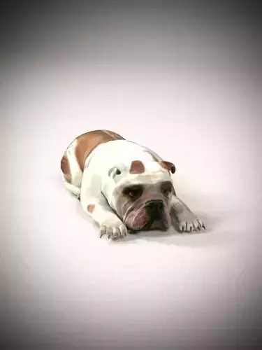Cute Bulldog 3D model