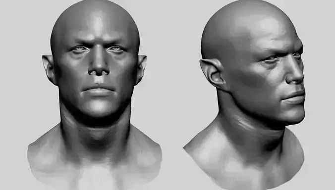 Fantasy Male Head D