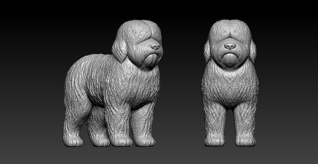 Old English Sheepdog - Bobtail dog - 3D print 3D print model_1