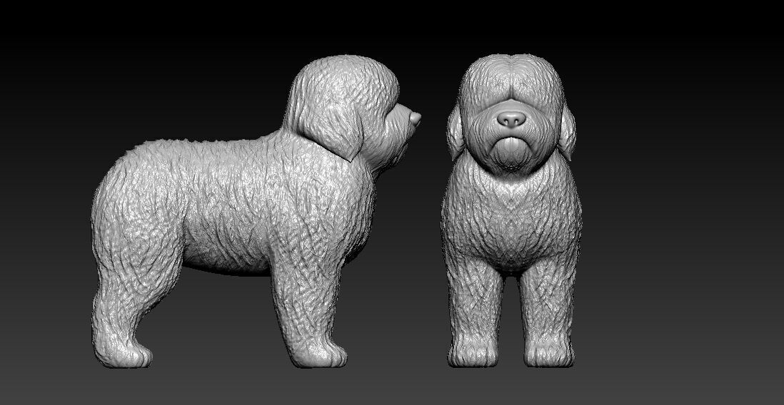 Old English Sheepdog - Bobtail dog - 3D print 3D print model_2