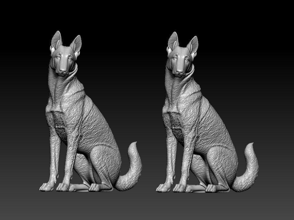 Malinois Sheepdog - Belgian Shepherd model - 3D print 3D print model_1