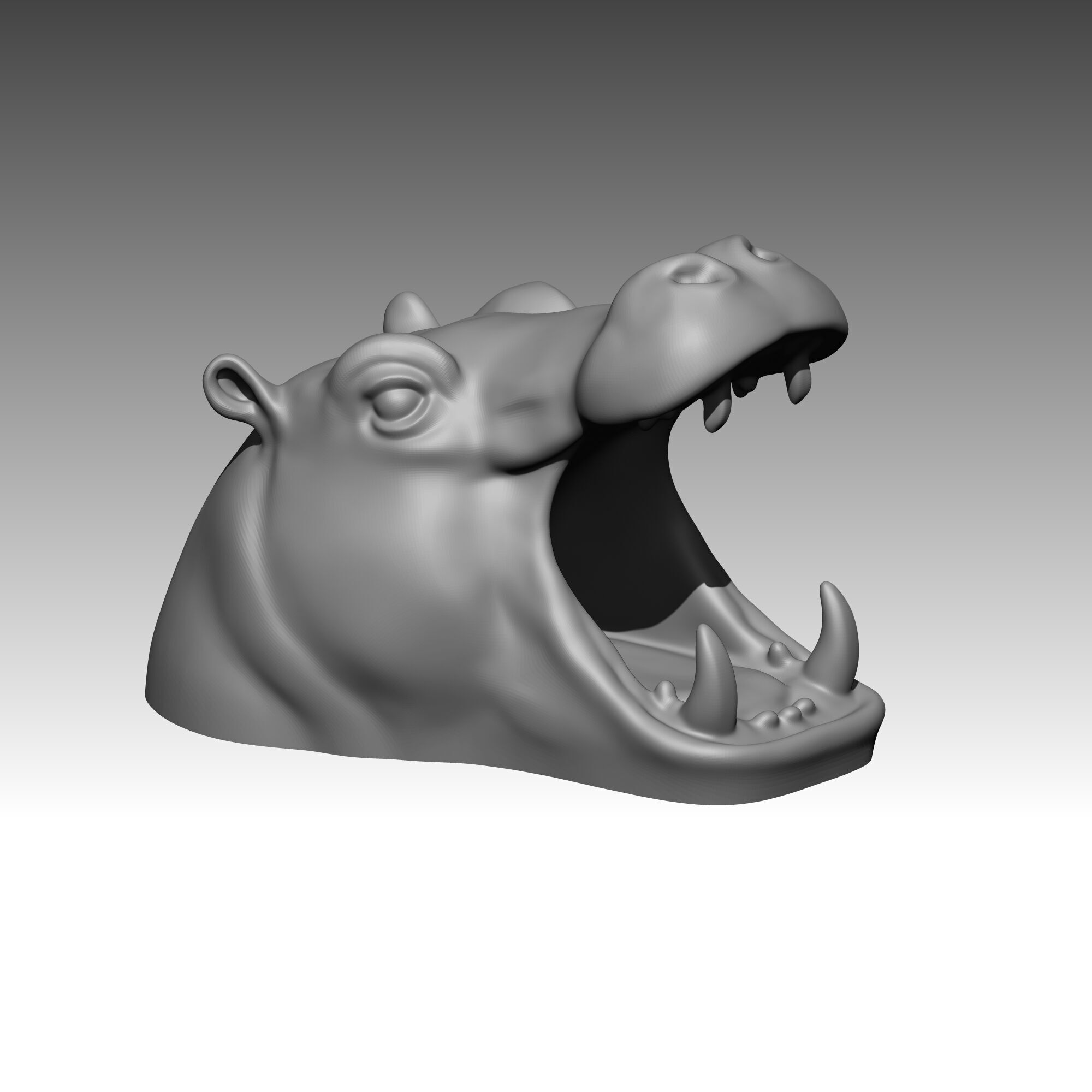 Hippo Head Animal Sculpture For Garden Decor or Tabletop Storage 3D print model_19