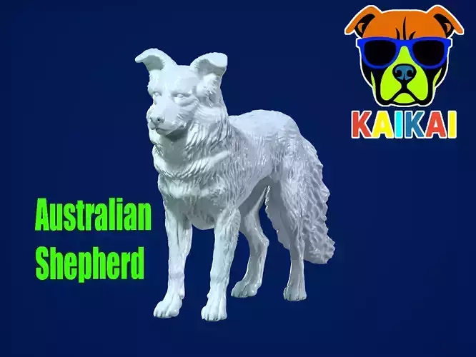The Australian Shepherd - Australian Berger model - 3D print 3D print model The Australian Shepherd - Australian Berger model - 3D print 3D print model