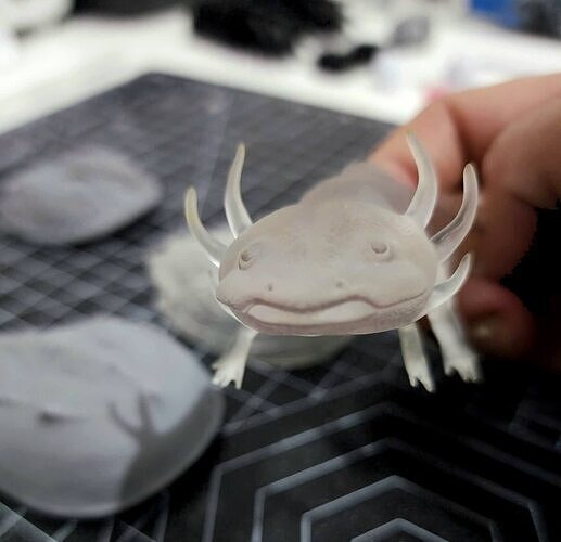 Ambystoma mexicanum - Mexican salamander - Walking fish 3D model
