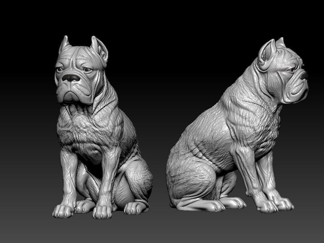 Cane Corso - English Mastiff model - 3D print 3D print model_1
