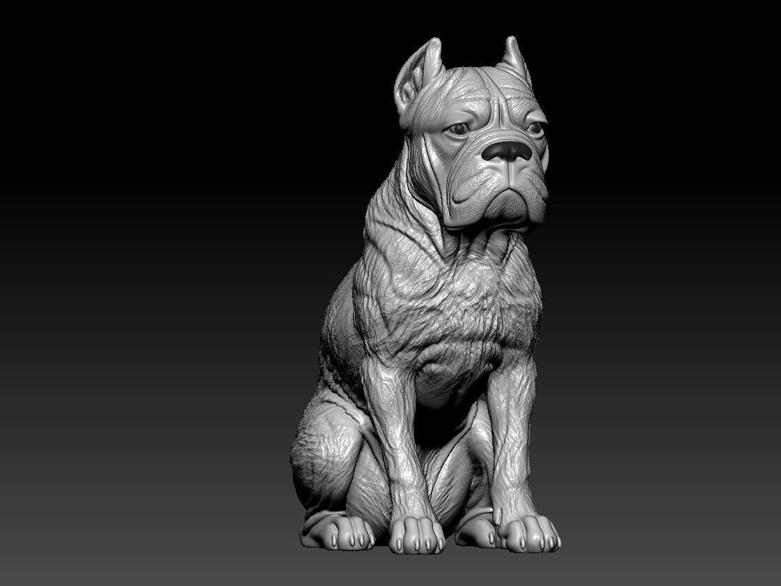 Cane Corso - English Mastiff model - 3D print 3D print model_2