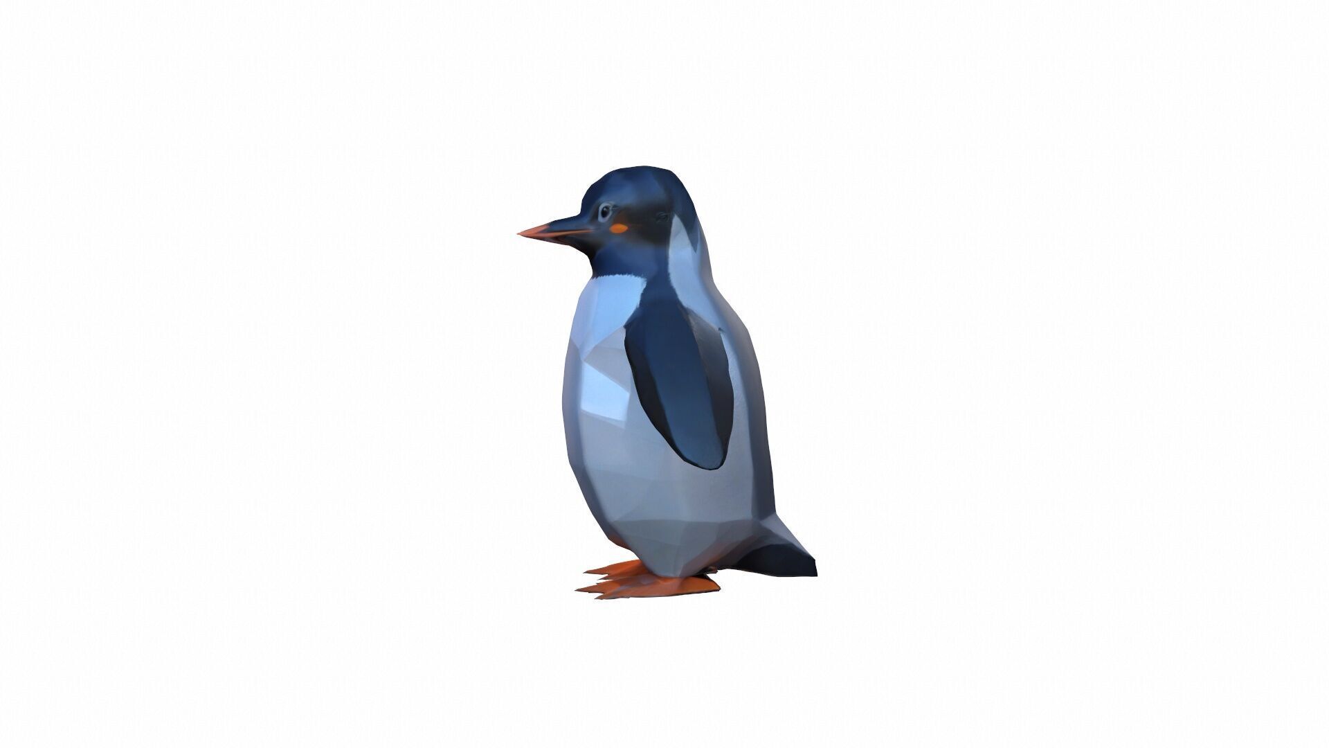3d Render The Penguin Is A Flightless Bird 3D model_2
