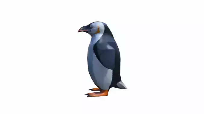3d Render The Penguin Is A Flightless Bird