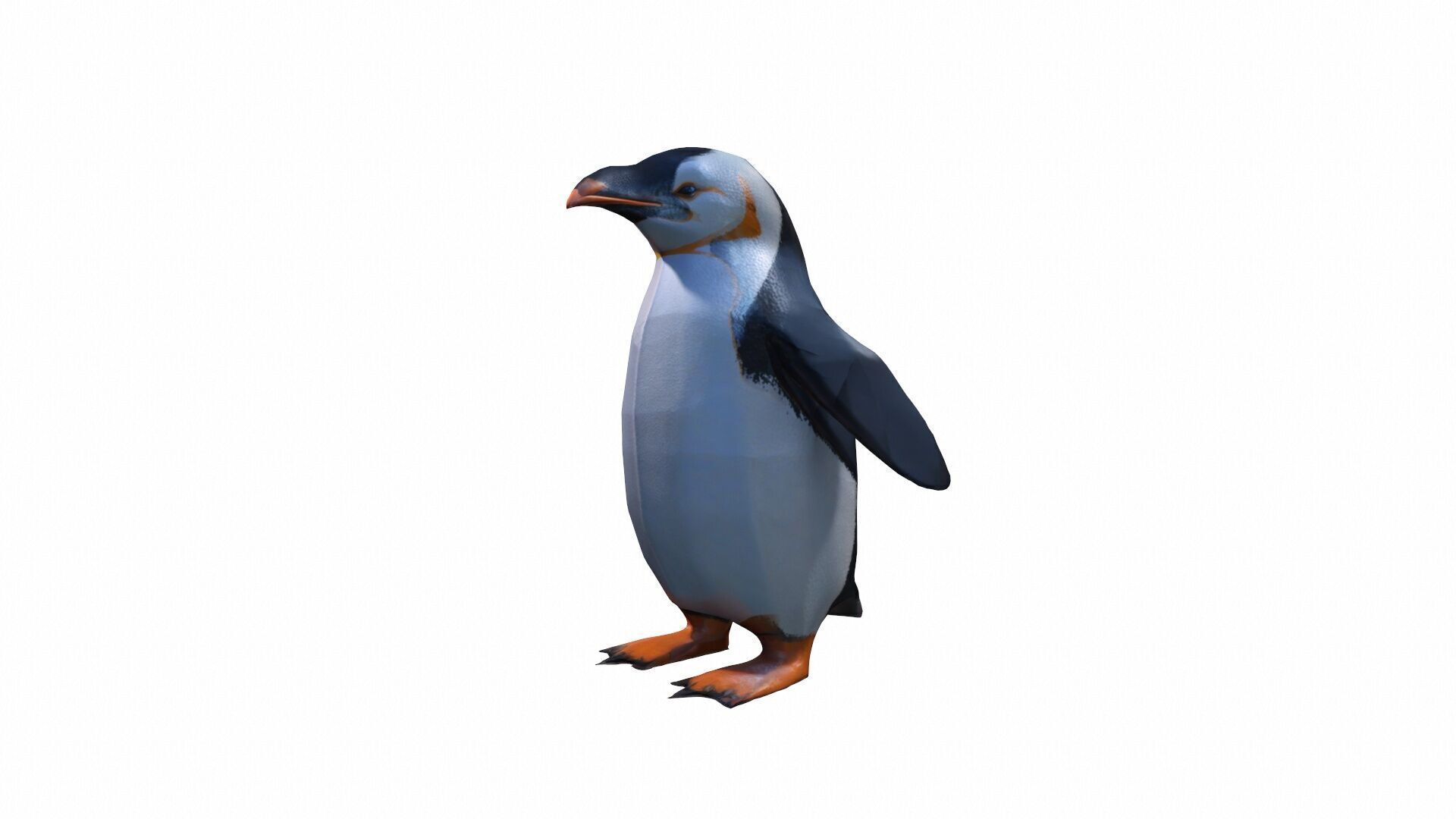3d Render The Penguin Is A Flightless Bird 3D model_6