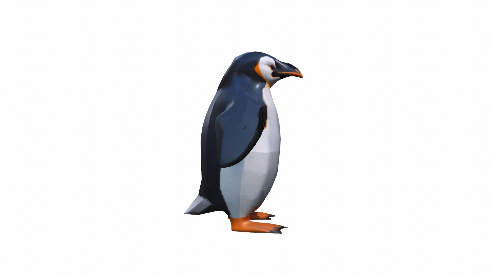 3d Render The Penguin Is A Flightless Bird 3D model_4
