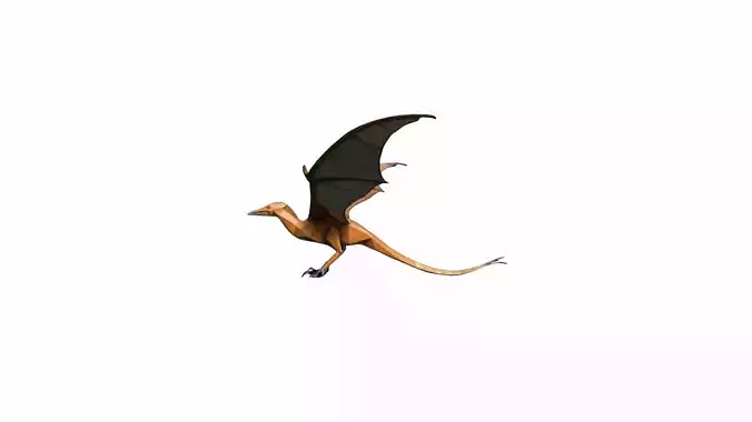 3d Render Pteranodon Flying Dinosaur