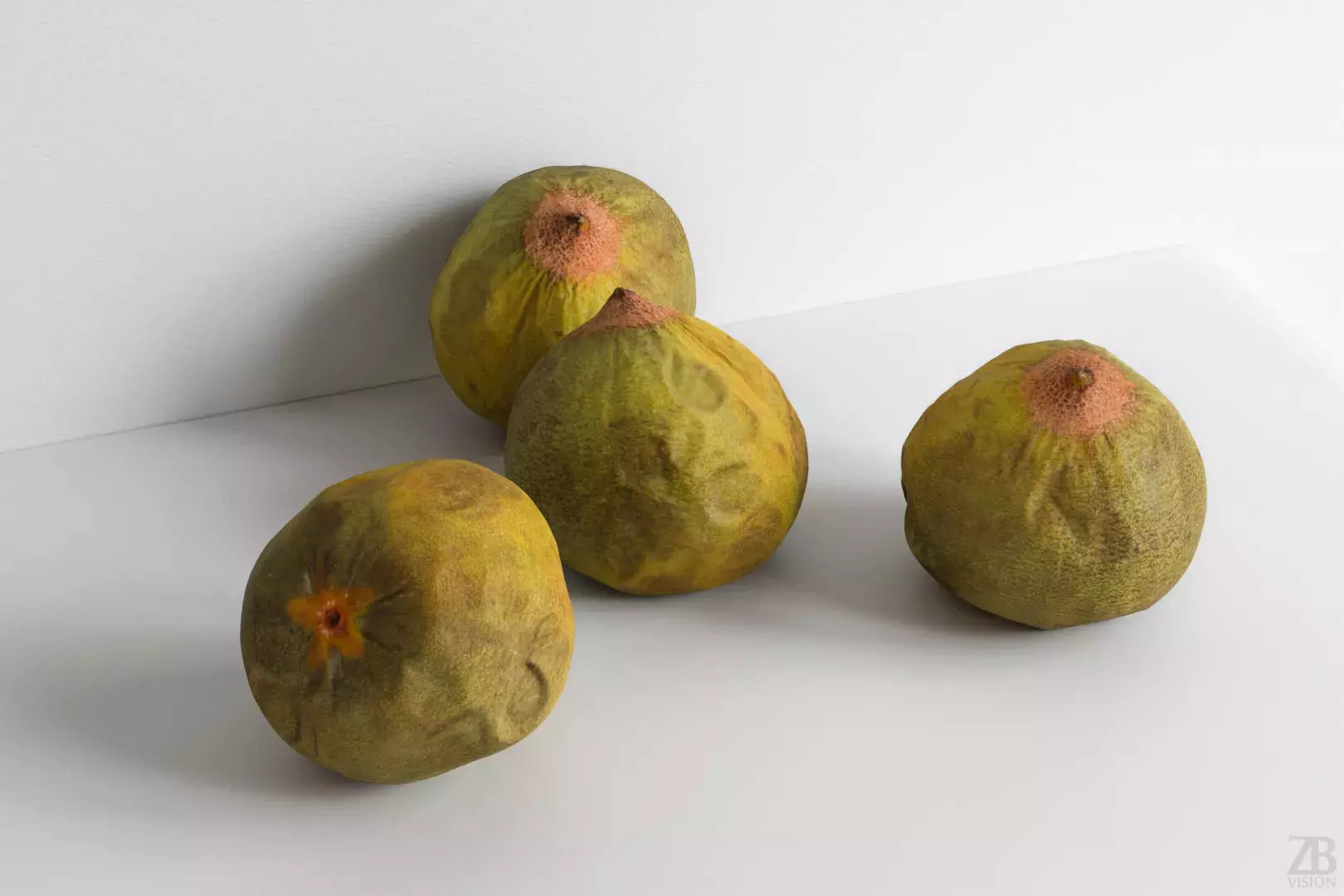 Lucuma 3D model