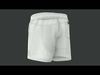 Seersucker Shorts 3D model_1