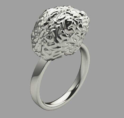 Brian ring 3D model 3D print model