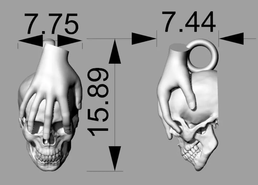 skull in hand 3D print model_0