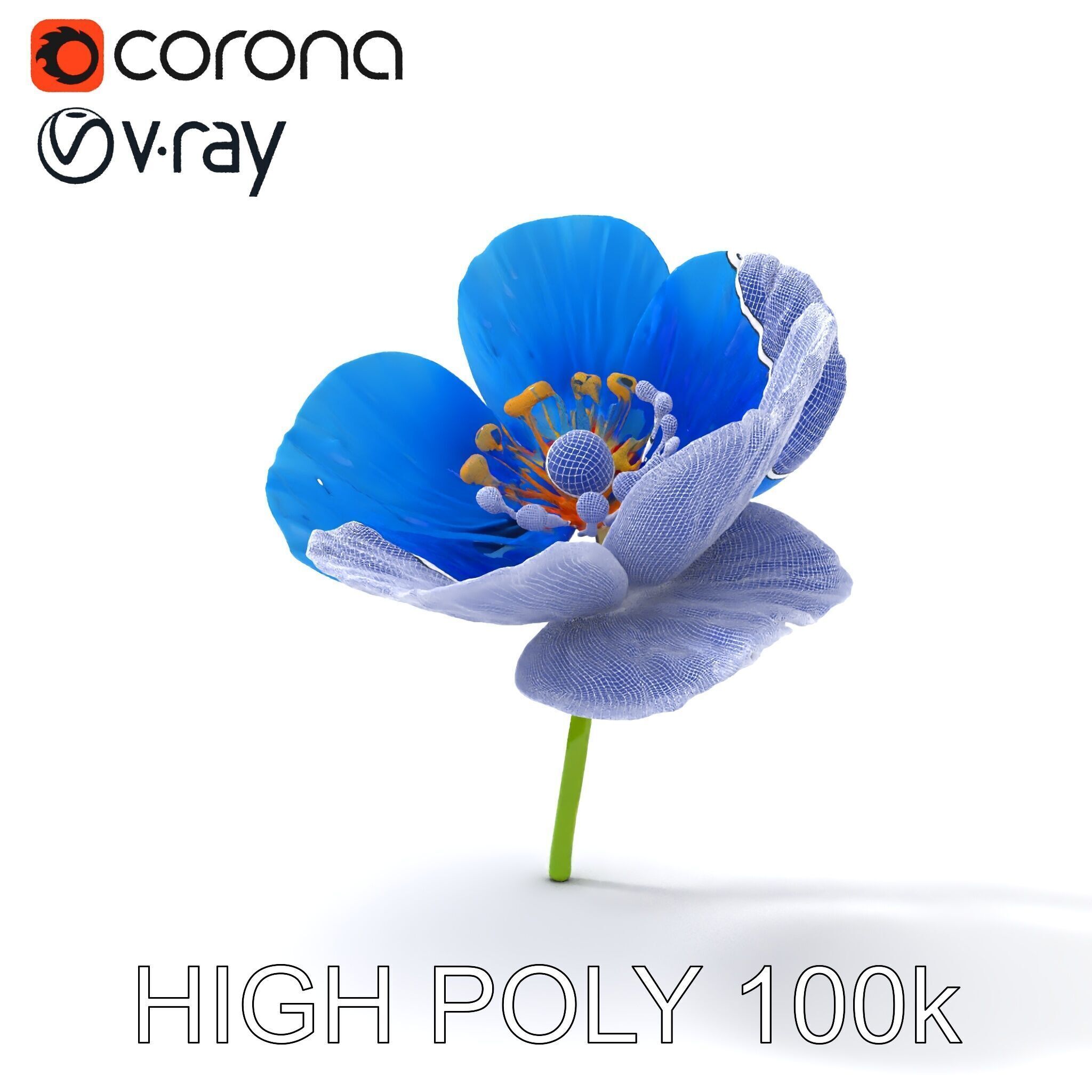 Blue Poppy Flower Model Pack for Realistic Scenes Low-poly 3D model_8