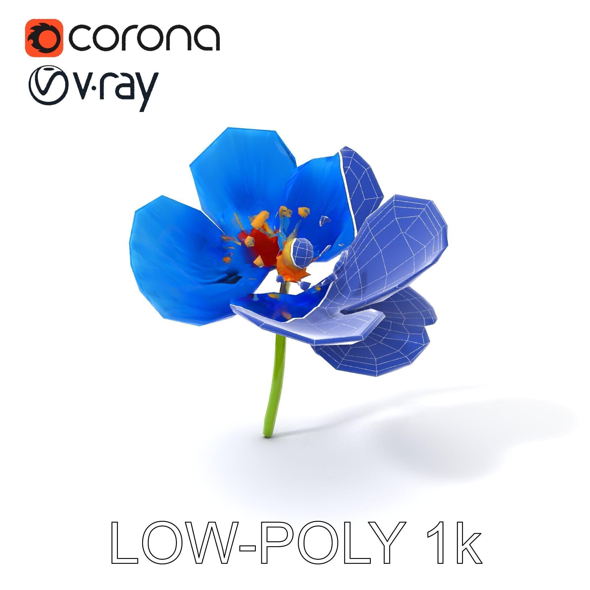 Blue Poppy Flower Model Pack for Realistic Scenes Low-poly 3D model_7